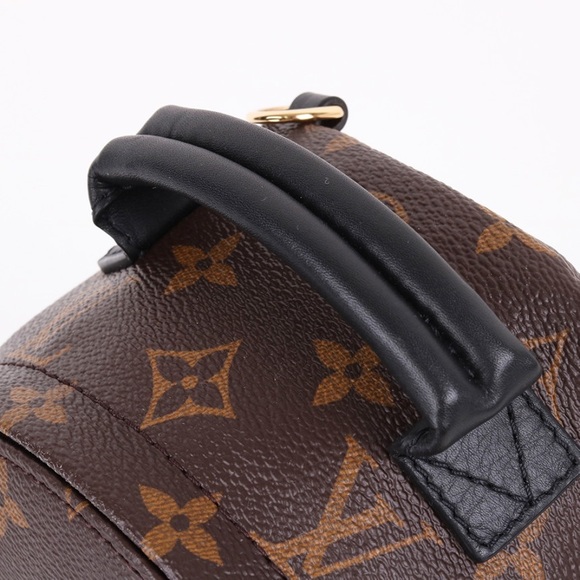 ❌SOLD❌Louis Vuitton Palm Springs Mini - Picture 6 of 9